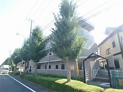 ホリホック 201