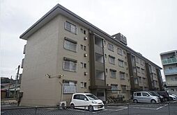 照栄ハイツ 300