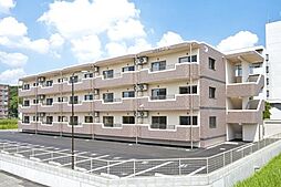 サクラミレ川津 205