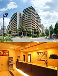 足立区新田３丁目