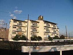 サンハイツ藤村 205