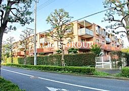 ランビニオン