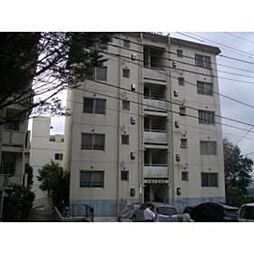 ジョイヒルズ 301