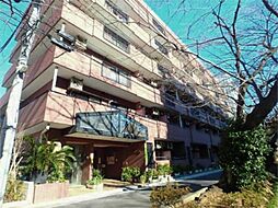 ベルファーム 502