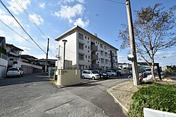 樋井川コーポ200棟 242