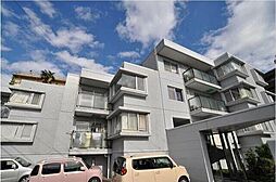 津田山ヒルテラス 101