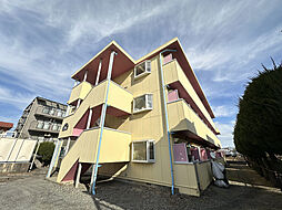 シティーフェイス1 310