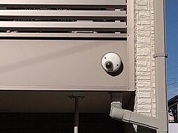 クレイノニューメイプル