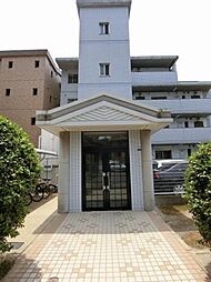 ピュア生の松原