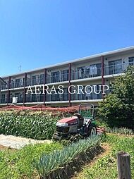 グレースコート