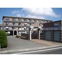 マリエール今宿 402