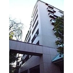 ソレイユ溝の口 303