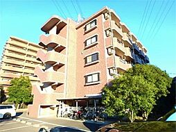 プリマピエースI 105