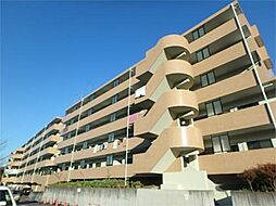 シルクフォルム 409