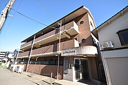 イデアルコートV