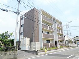 プリマヴェーラ 302