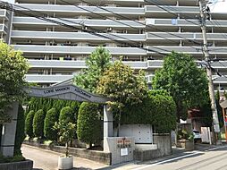 ロワールマンション空港南 705
