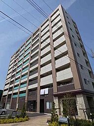 グローブ・アマランス