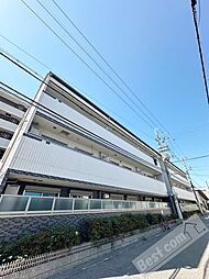 エヴァーホワイト