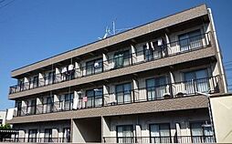 セントラルコーポクロッカス