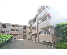 ファミールシティ武蔵関ＩＩ番館 219