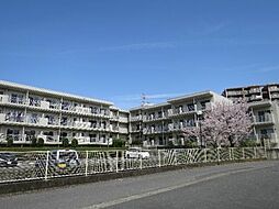 A-RISE（アライズ） 205