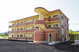 Ａｄｖａｎｃｅ錦Ｍ＆Ｎ 202