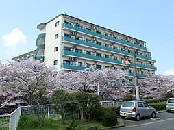 ステラ堤 416