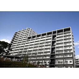 パークキューブ西ヶ原ステージ 809