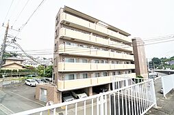 プルメリアガーデン 607