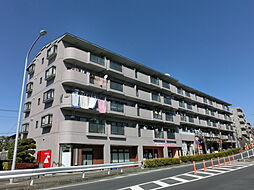 ラリーグラス 208