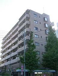 コート・イシハラ 703