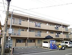 アムールチュラ