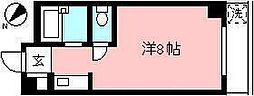ホワイトハイム 201