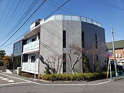 メープル・オン・ザ・ヒル