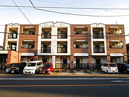 メゾン・プリムローズ