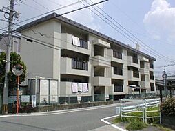 上白水コーポ 202