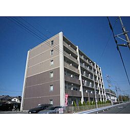 サンライズ　ガーデン 607