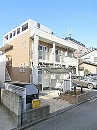 サンフラワー