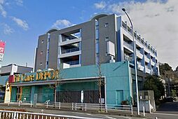 カーサパルマス 503
