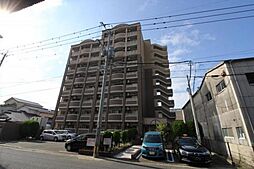 サニーサイドアップ 903