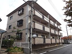 ビューテラス那珂川 203