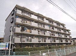 サンライズ多摩 101