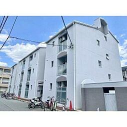 パティオライブ