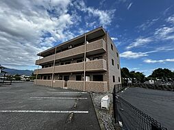 アルストロメリア 202