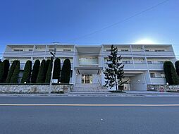 ＬＡＮＡＩ　ＧＲＡＣＥ　ＫＵＮＩＴＡＣＨＩ