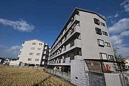 レオハイム津田II