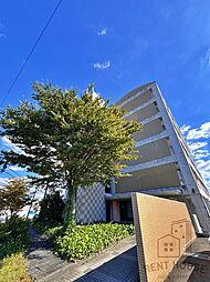 和泉市万町