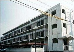 グリーンコーポ金田ユング