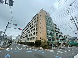 willDo清澄
